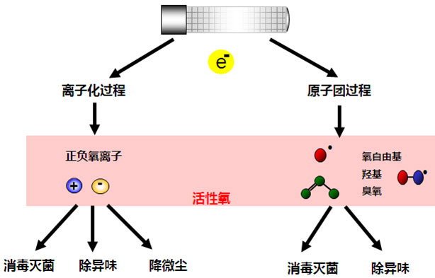 活性离子除臭设备